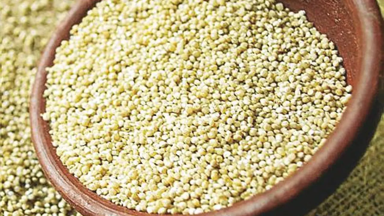 flor de quinoa - Dónde se cultiva la quinoa en España