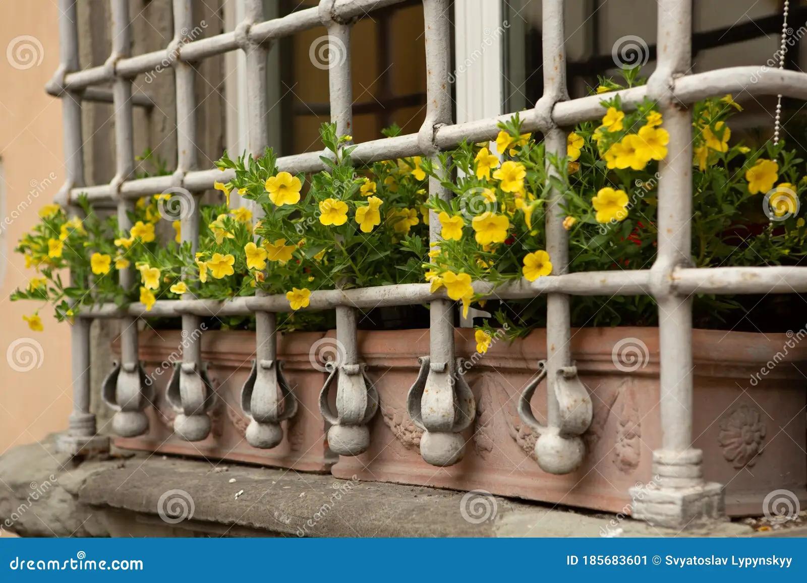 flores amarillas en la ventana - Dónde se filmó flores amarillas en la ventana