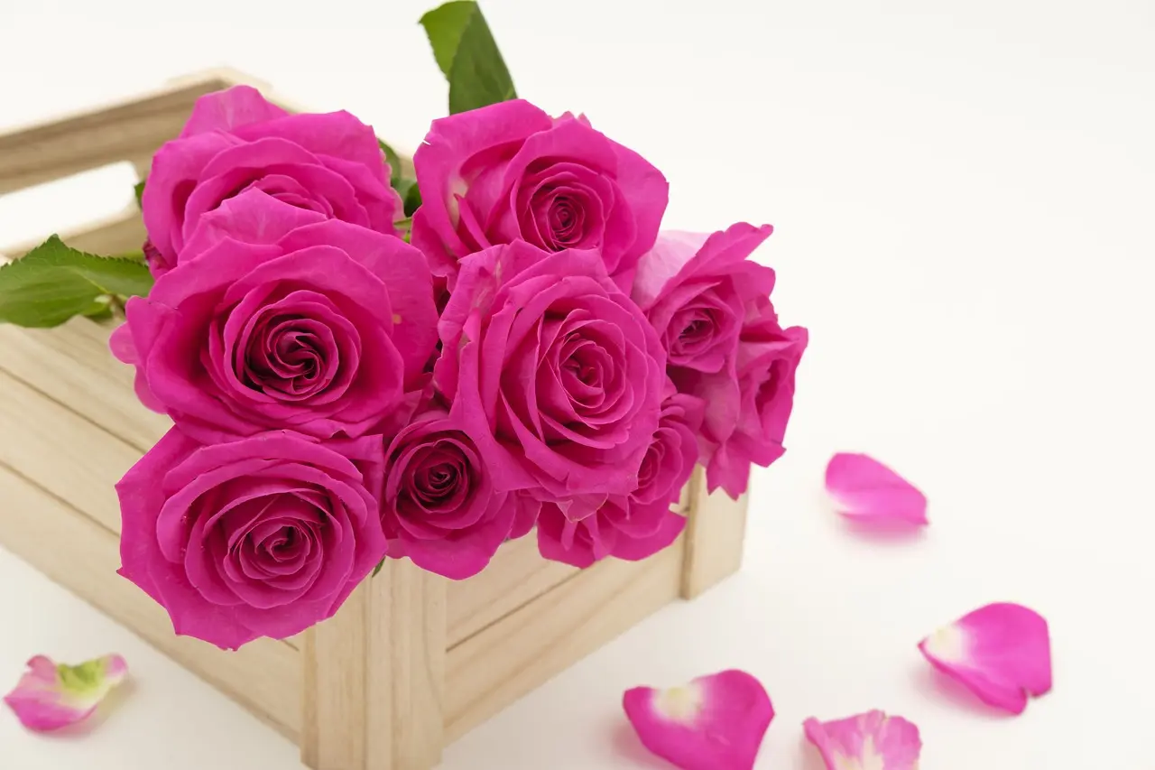 Flores artificiales: una opción duradera y decorativa para tu hogar - Por que regalar flores artificiales flores artificiales - Por que regalar flores artificiales