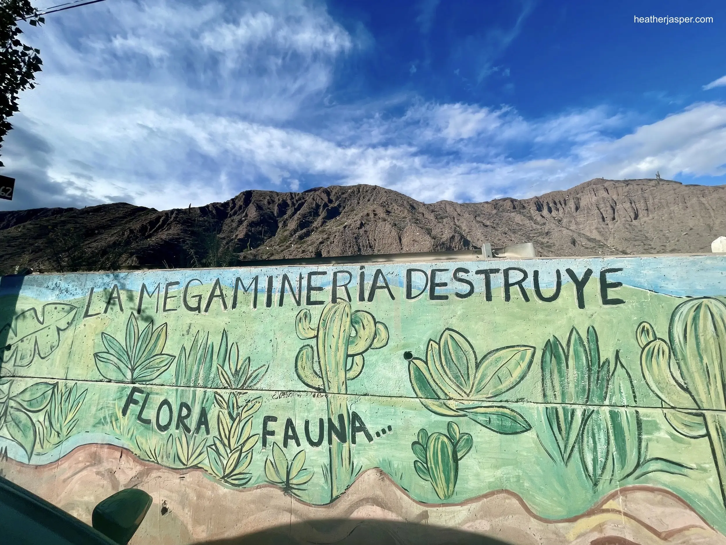 Flora de Purmamarca - Qué animales hay en Purmamarca flora de purmamarca - Qué animales hay en Purmamarca