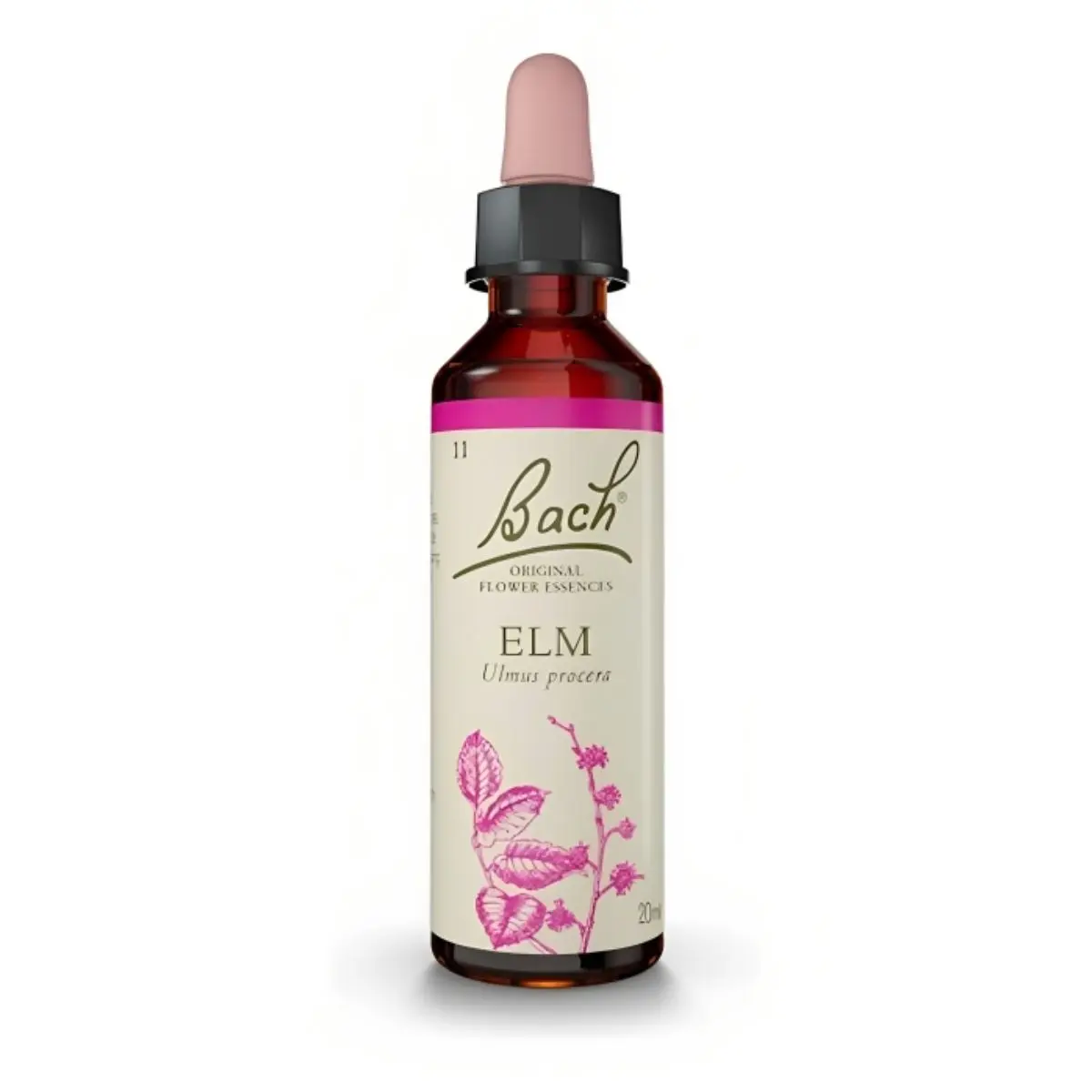 Flores de Bach Olmo Blanco: Equilibrio y Bienestar - Qué aporta Elm flores de bach olmo blanco - Qué aporta Elm