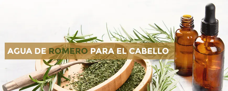 Propiedades de la flor del romero - Qué beneficios tiene el romero para el pelo propiedades de la flor del romero - Qué beneficios tiene el romero para el pelo