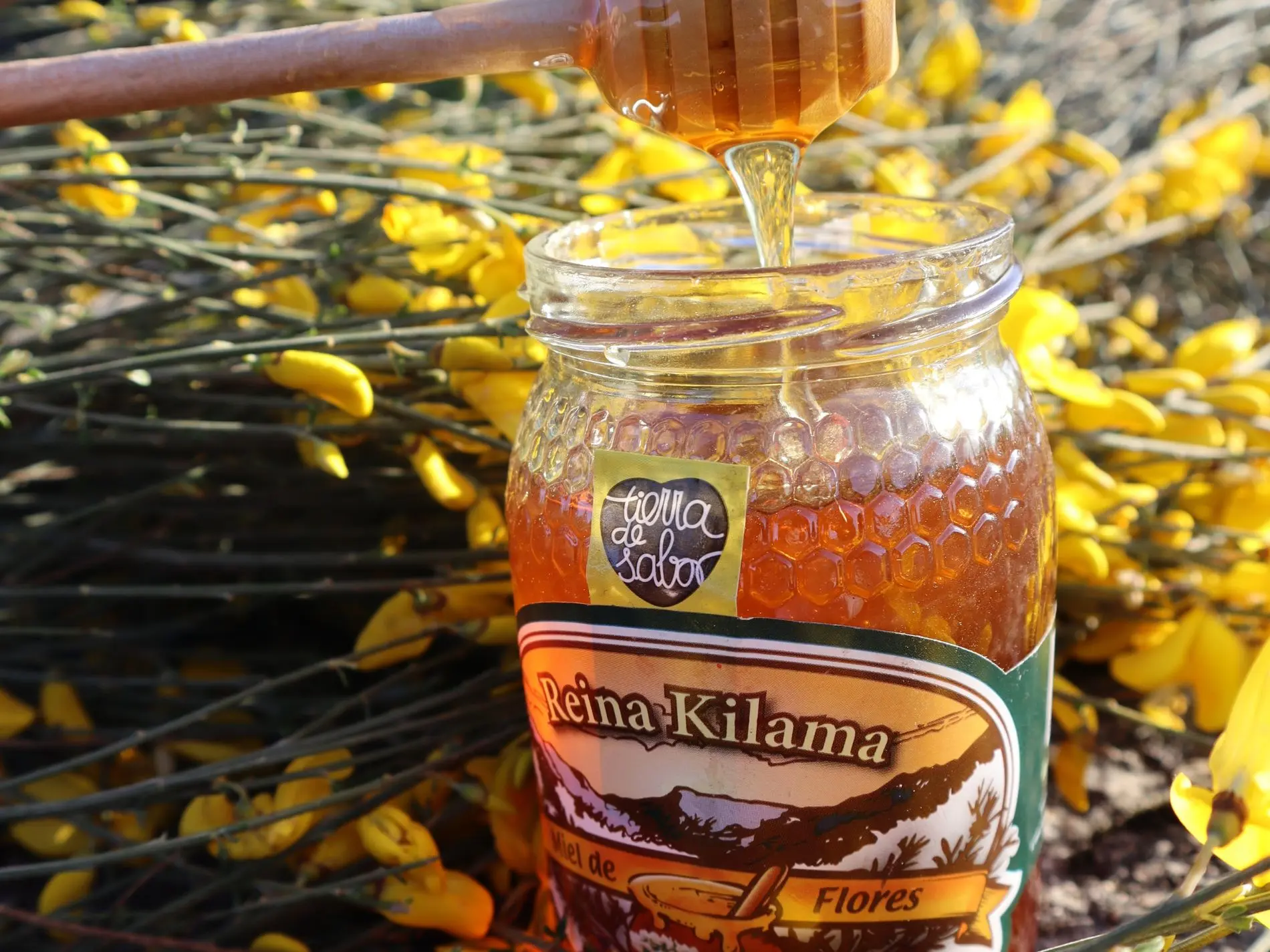 miel sierra flor - Qué beneficios tiene la miel de flor