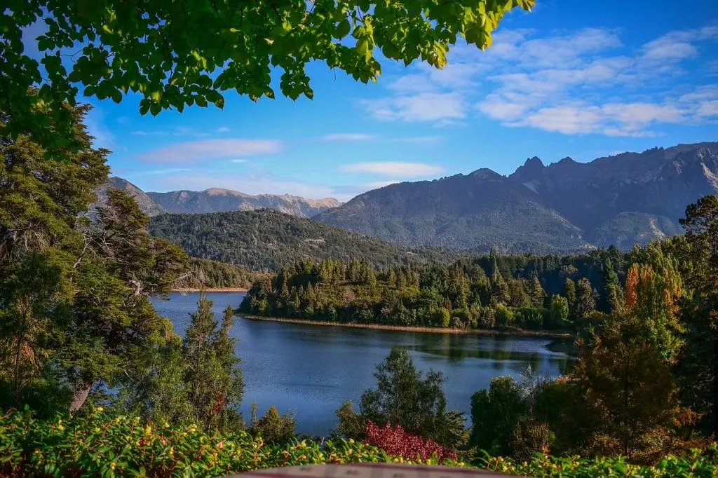 Flora del Bosque Andino Patagónico: Un tesoro natural - Qué características tiene el bosque andino patagónico flora bosque andino patagónico - Qué características tiene el bosque andino patagónico