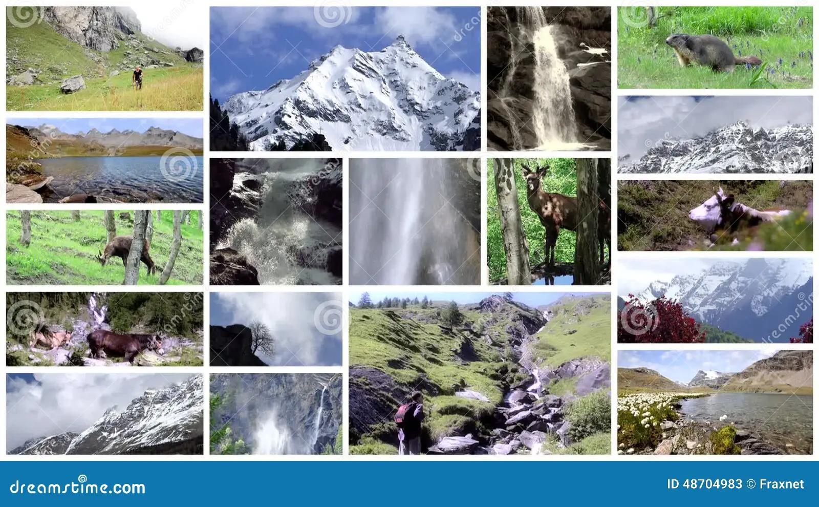 Flora y fauna de alta montaña - Qué características tiene la alta montaña flora y fauna de alta montaña - Qué características tiene la alta montaña