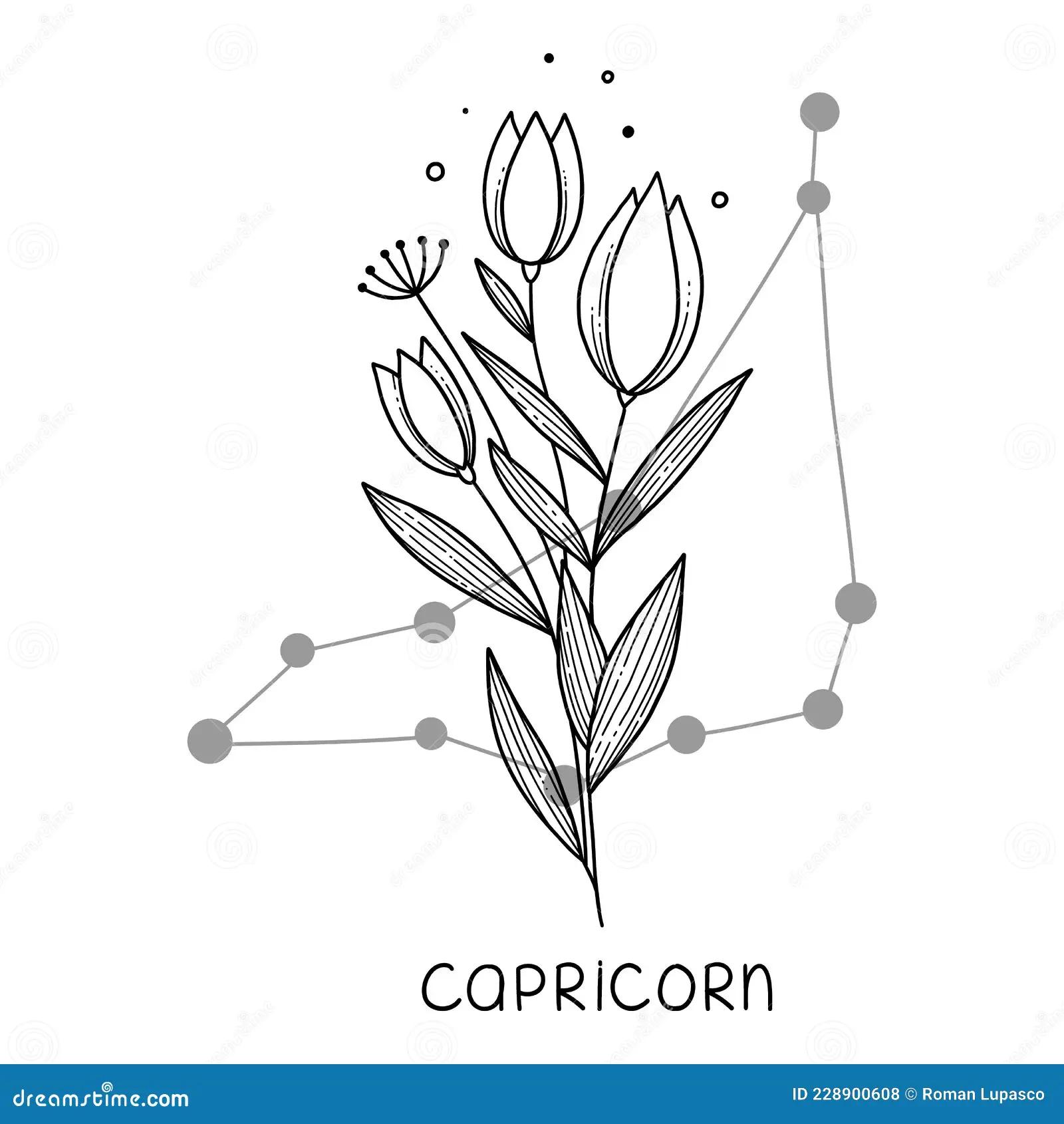 La Flor Capricornio: Características y Significado - Qué color tiene Capricornio flor capricornio - Qué color tiene Capricornio