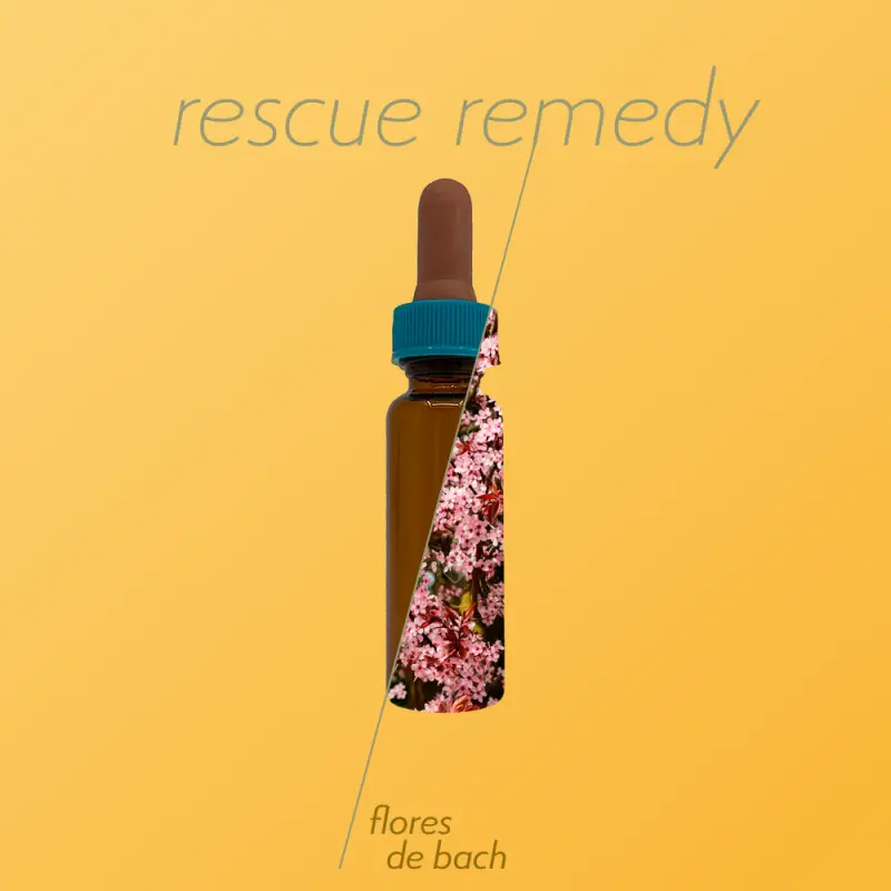 Flores de Bach Precio - Qué contiene el Rescue flores de bach precio - Qué contiene el Rescue