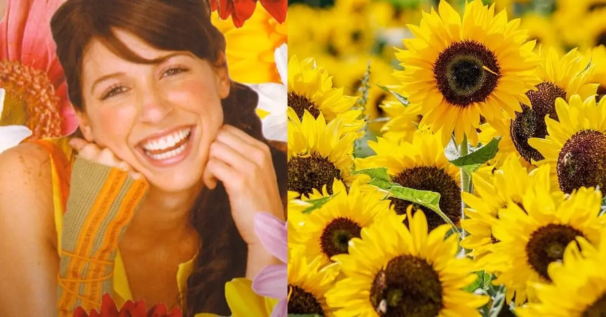 El significado de regalar flores amarillas - Qué dice la canción de las flores amarillas el la estaba esperando con una flor amarilla - Qué dice la canción de las flores amarillas