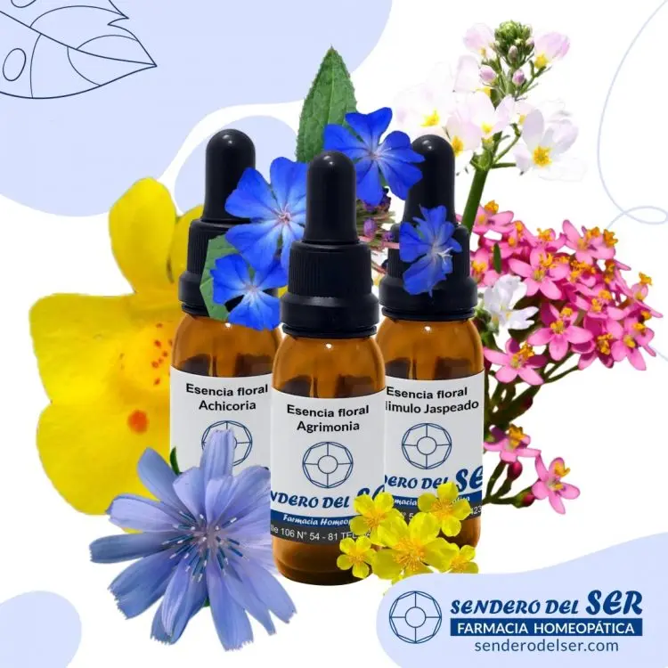 Farmacia Homeopática de Flores: Beneficios y Uso - Qué documento legal ampara el funcionamiento de la farmacia hospitalaria y droguería o farmacia homeopática con preparación de medicamentos magistrales y oficiales farmacia homeopática de flores - Qué documento legal ampara el funcionamiento de la farmacia hospitalaria y droguería o farmacia homeopática con preparación de medicamentos magistrales y oficiales