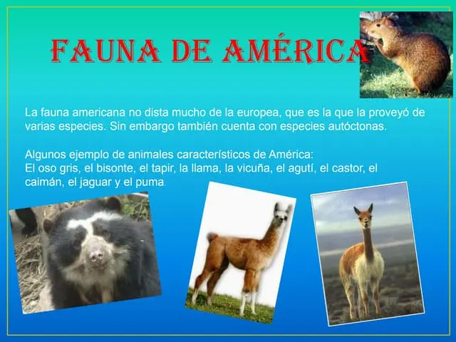 Flora y fauna de América: un resumen de sus ecosistemas - Qué ecosistemas hay en América flora y fauna de america resumen - Qué ecosistemas hay en América