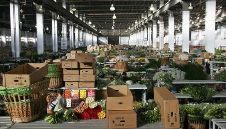 mercado flores almagro - Qué entidad produce mayor cantidad de flores