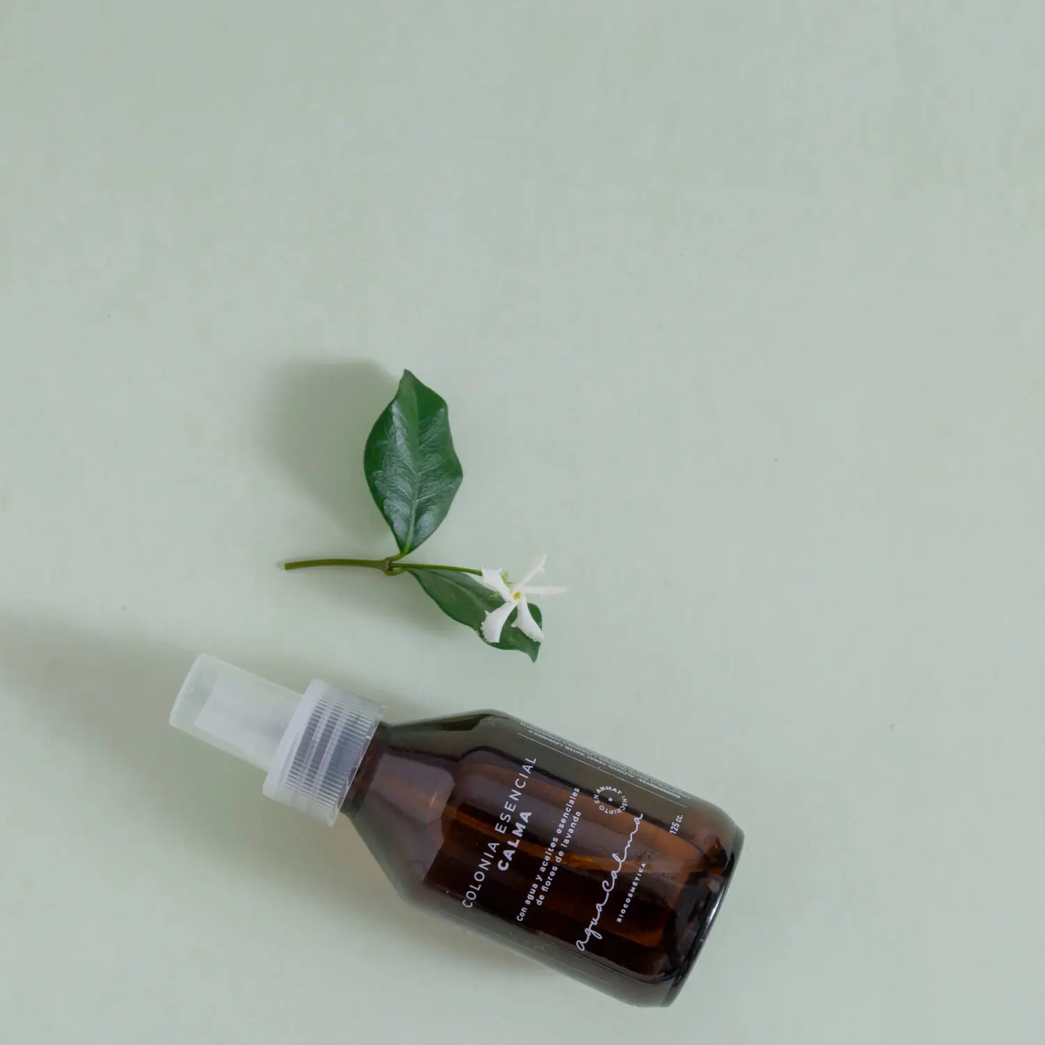 perfume de naranjo en flor - Qué es el perfume de azahar