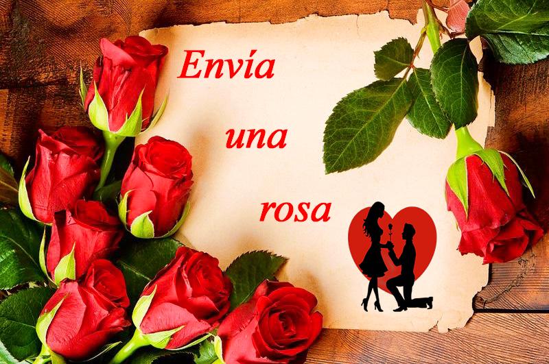 Flores virtuales para cumpleaños: la nueva tendencia en regalos - Qué es Rosify Org flores virtuales para cumpleaños - Qué es Rosify Org