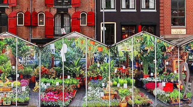 El mercado de flores: Un paraíso para los amantes de la naturaleza - Qué es un mercado de flores el mercado de flores - Qué es un mercado de flores