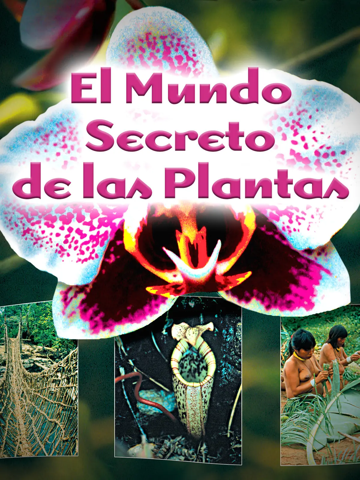 Documentales de plantas y flores: Analizando la belleza y el misterio de la naturaleza - Qué exponer sobre las plantas documentales de plantas y flores - Qué exponer sobre las plantas