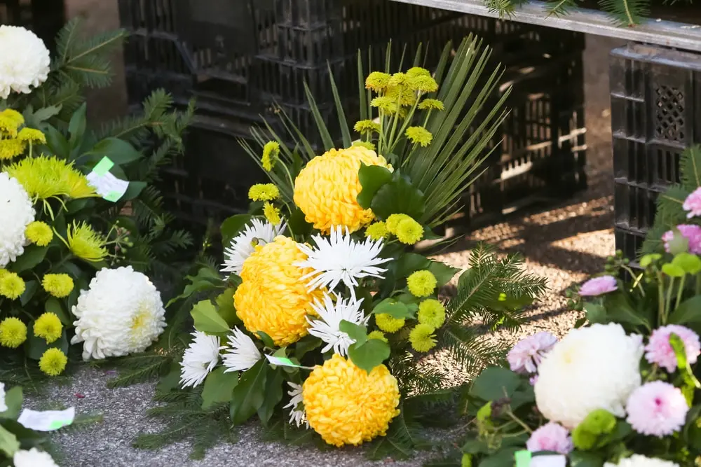 flores de panteon - Qué flor adorna comúnmente las tumbas de los seres queridos