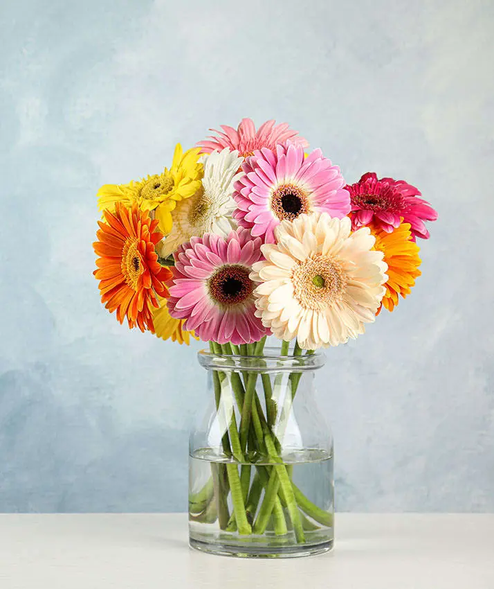 Flores duraderas: la opción perfecta para decorar en verano - Qué flor dura más en verano flores duraderas - Qué flor dura más en verano
