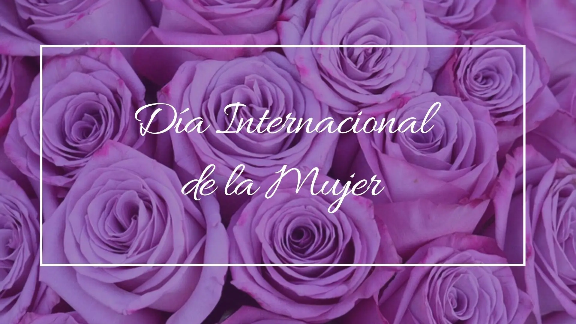Día Internacional de la Mujer: Celebrando con Flores - Qué flor representa el día de la mujer dia internacional de la mujer flores - Qué flor representa el día de la mujer