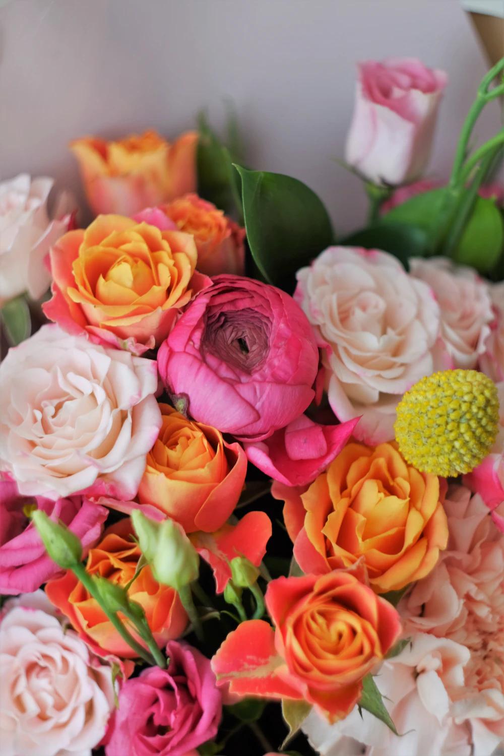 Una flor de cumpleaños: Dígalo con flores - Qué flor significa felicidades una flor de cumpleaños - Qué flor significa felicidades