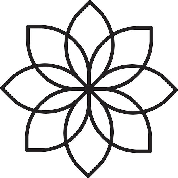Flor de ocho pétalos: Belleza y simbolismo - Qué flor tiene 8 pétalos flor de ocho petalos - Qué flor tiene 8 pétalos