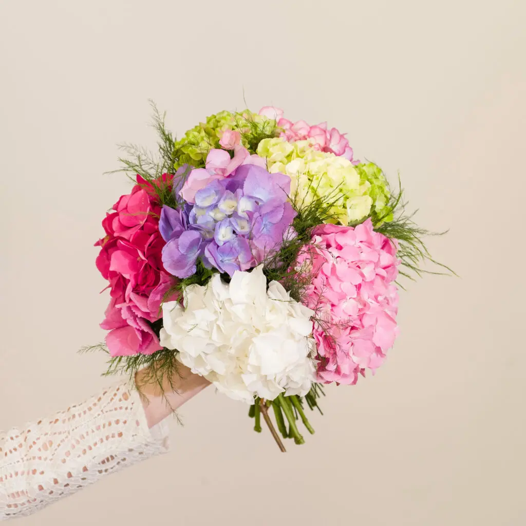 flores para mi hermana - Qué flores regalarle a una hermana