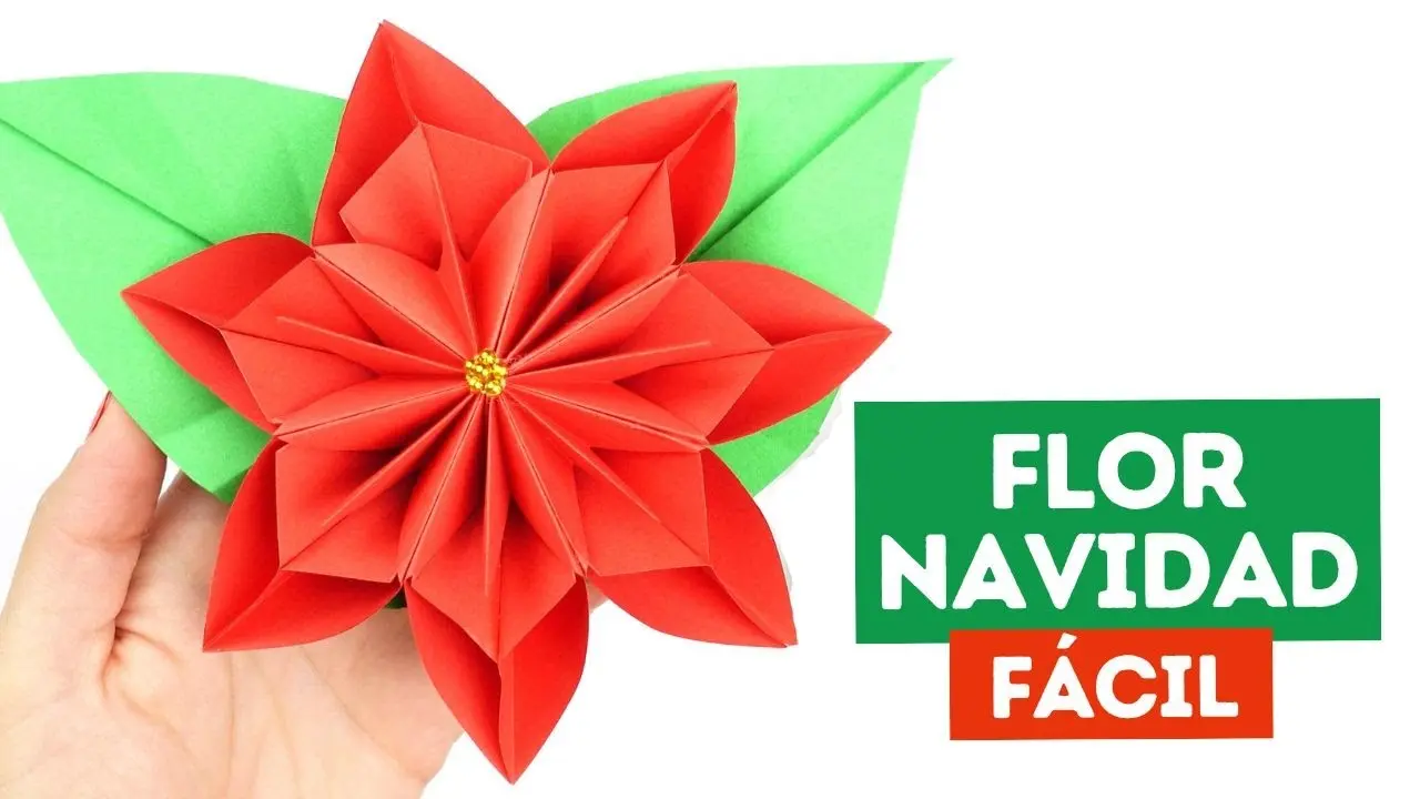 Flores navideñas paso a paso - Qué flores se ponen en Navidad flores navideñas paso a paso - Qué flores se ponen en Navidad