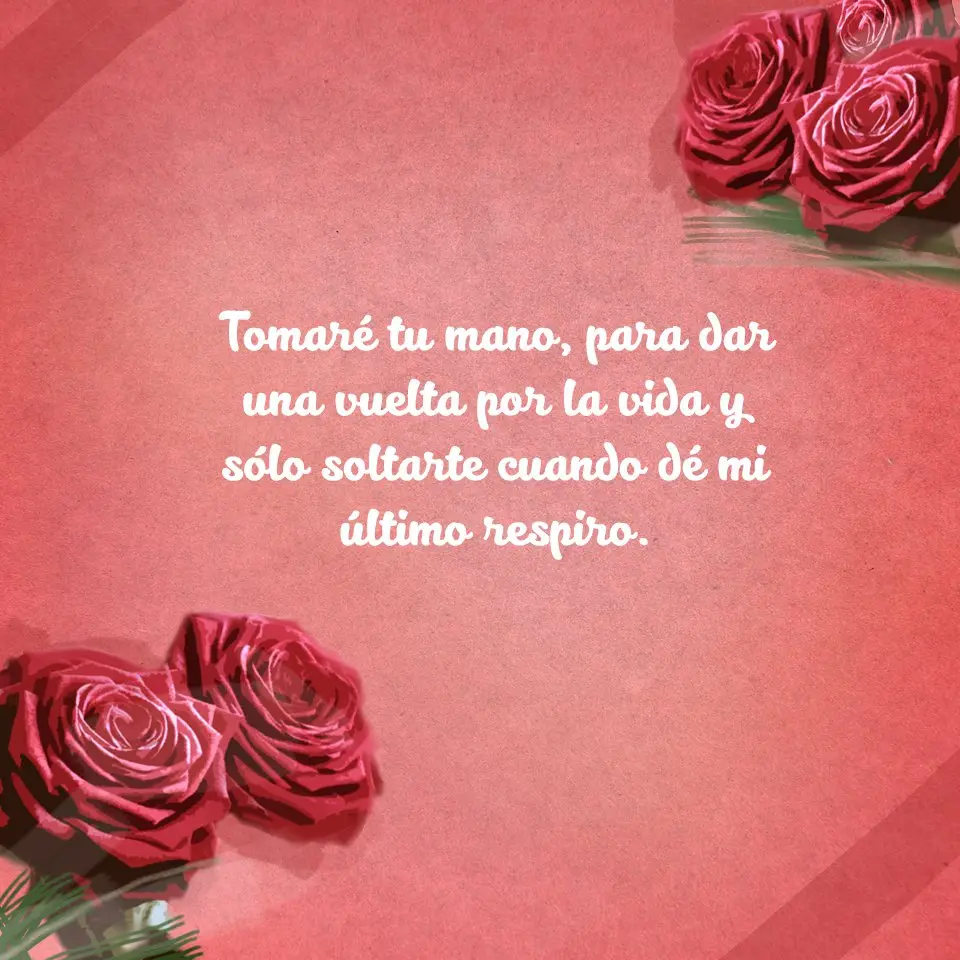 Nota para un ramo de flores - Qué frase poner en unas rosas nota para un ramo de flores - Qué frase poner en unas rosas