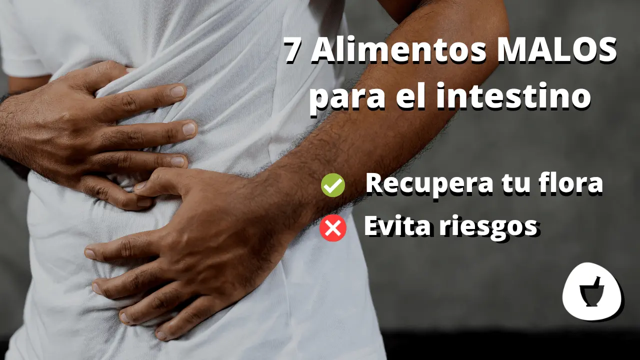 Alimentos para recuperar la flora intestinal dañada - Que no debo comer si tengo la flora intestinal dañada alimentos flora intestinal dañada - Que no debo comer si tengo la flora intestinal dañada