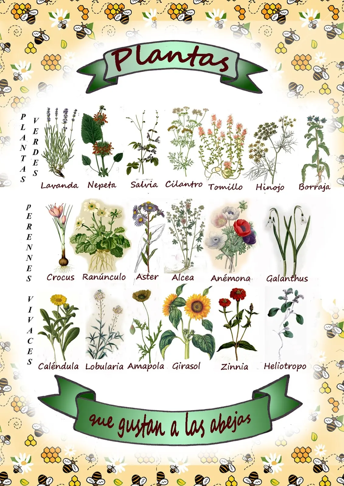Flores que les gustan a las abejas - Qué olor atrae a las abejas flores que les gusta a las abejas - Qué olor atrae a las abejas