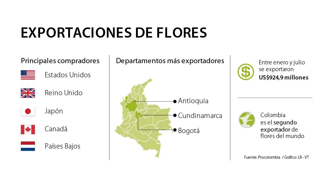 pais exportador de flores - Qué país es el mayor productor de flores