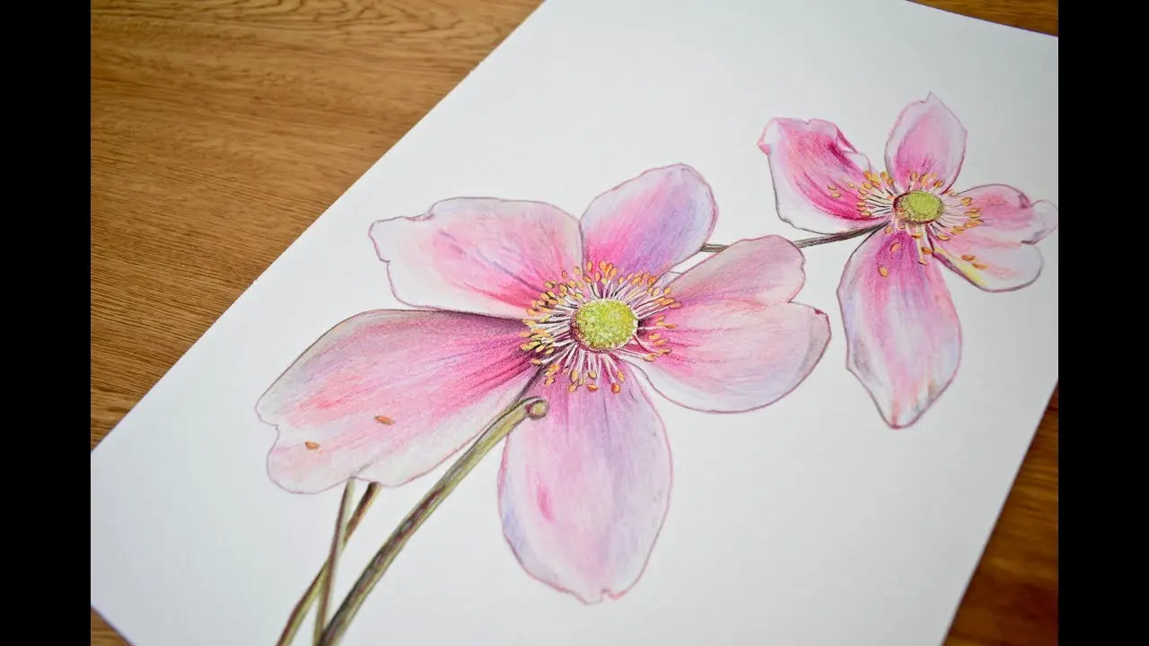 Acuarelas flor: la belleza de la naturaleza plasmada en papel - Que pintan las acuarelas acuarelas flor - Que pintan las acuarelas