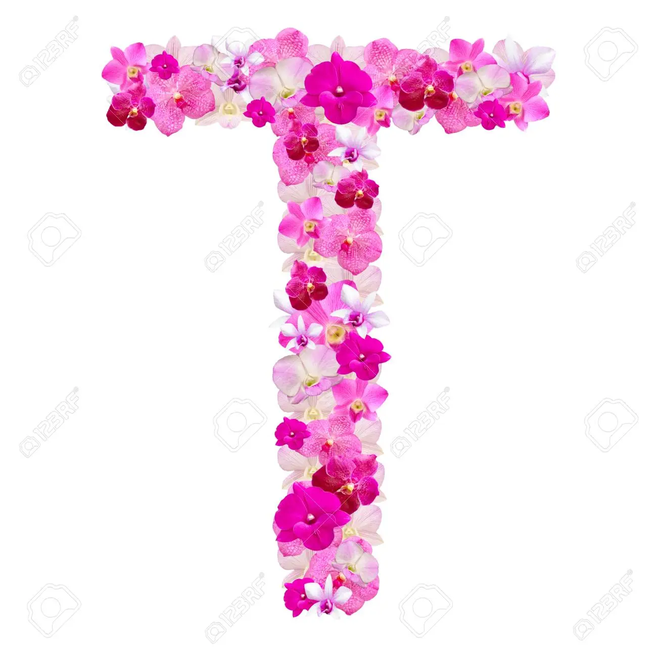 flor con t - Qué planta empieza con la letra R