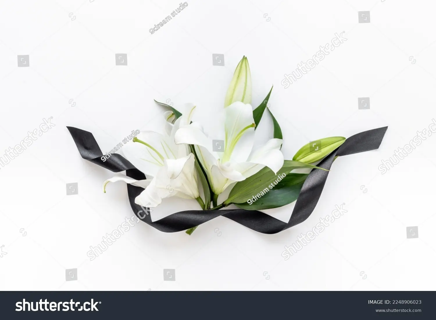 Flores para un amigo fallecido: un homenaje lleno de significado - Qué planta regalar para un duelo flores para un amigo fallecido - Qué planta regalar para un duelo