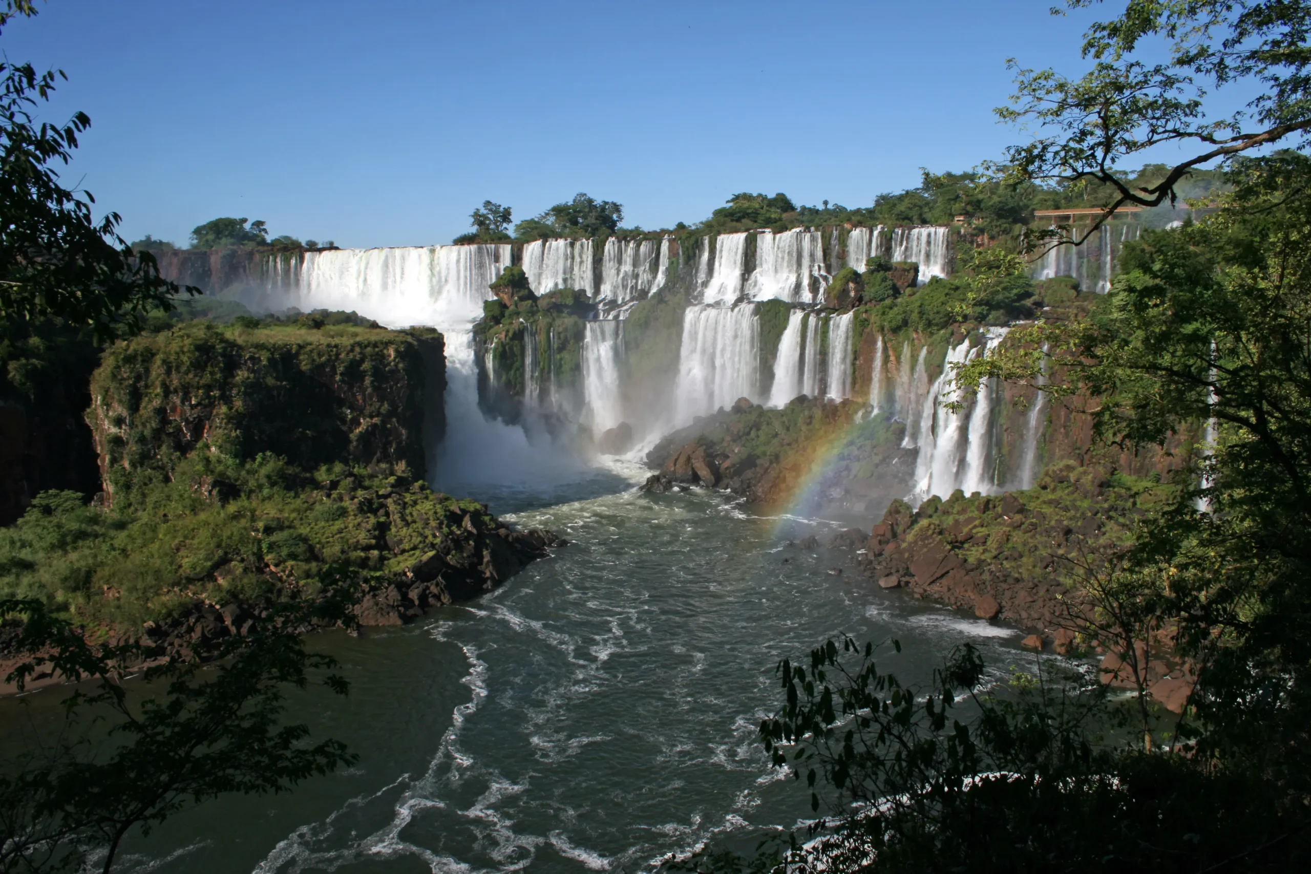 Flora del Parque Nacional Iguazú - Qué plantas hay en cataratas flora del parque nacional iguazú - Qué plantas hay en cataratas