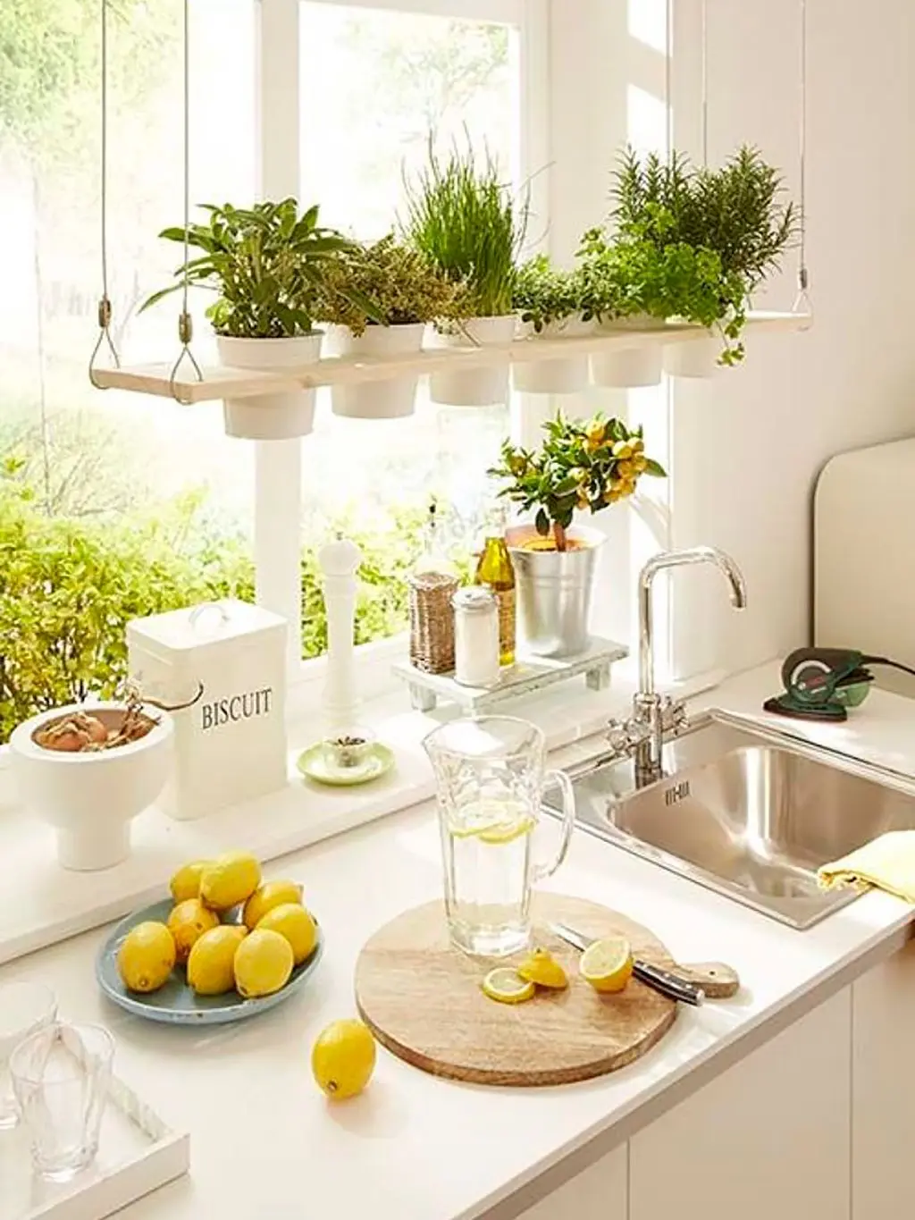 Flores para decorar tu cocina - Qué plantas se pueden poner en la cocina flores para decorar cocina - Qué plantas se pueden poner en la cocina