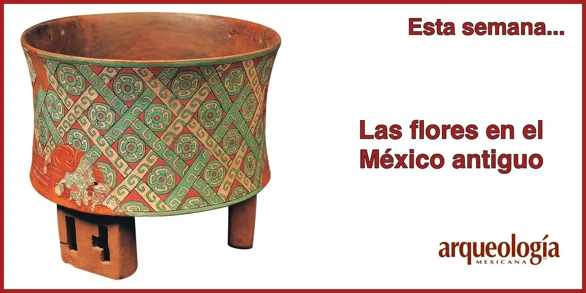 Flores prehispánicas de México: una mirada a la alimentación ancestral - Qué plantas y flores eran comunes en la época prehispánica flores prehispanicas de mexico - Qué plantas y flores eran comunes en la época prehispánica