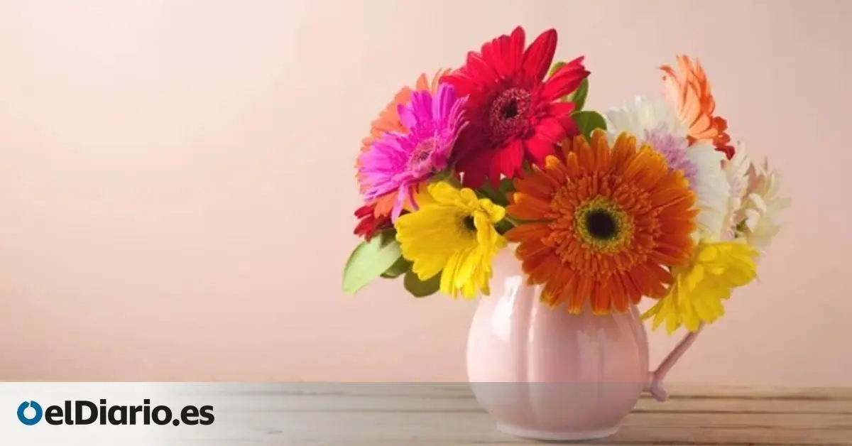 ¿Qué pasa si le pongo azúcar al agua de las flores? - Qué poner en el agua para que las flores duren más azucar en el agua de las flores - Qué poner en el agua para que las flores duren más
