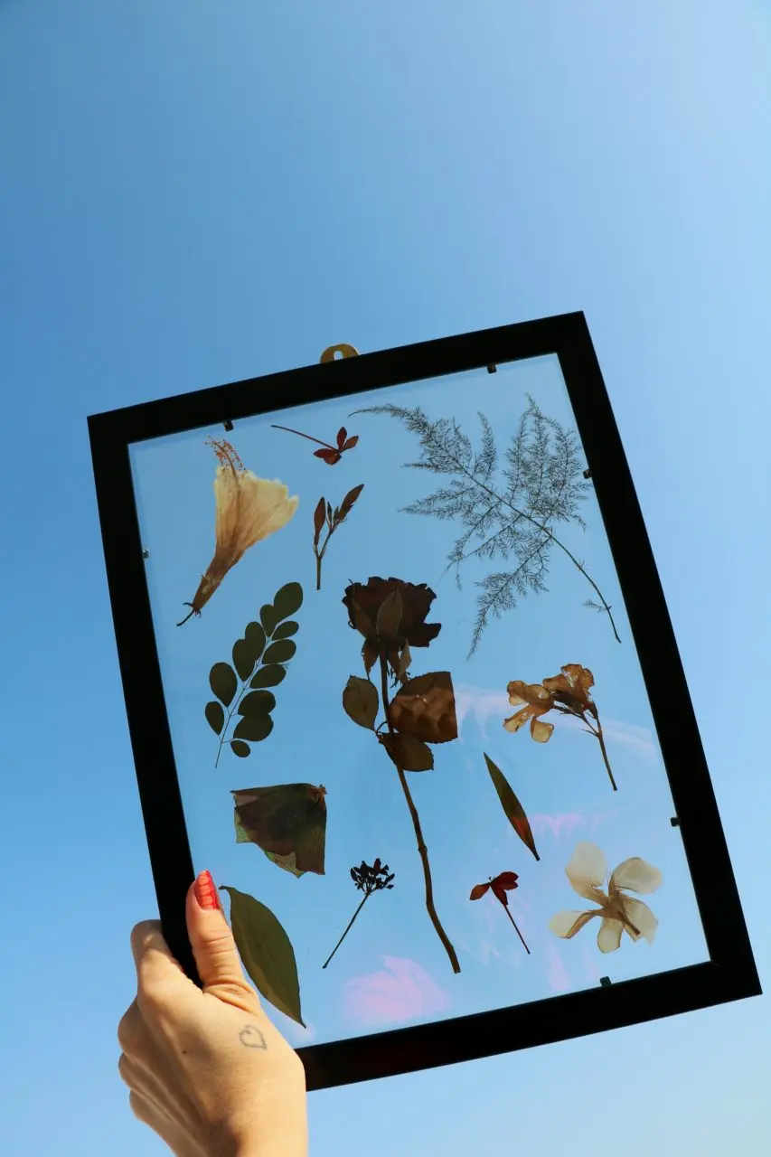 decoracion con flores - Qué puedo hacer con las flores