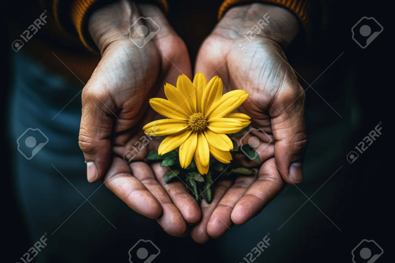 Persona Agarrando una Flor: El Significado Detrás de las Flores - Qué representa una flor en una persona persona agarrando una flor - Qué representa una flor en una persona