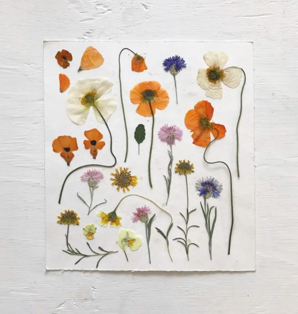 Arte con flores y hojas secas - Qué se puede hacer con las flores marchitas arte con flores y hojas secas - Qué se puede hacer con las flores marchitas