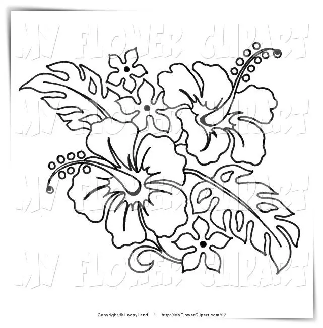 flores hawaianas para pintar - Qué significa el collar de flores