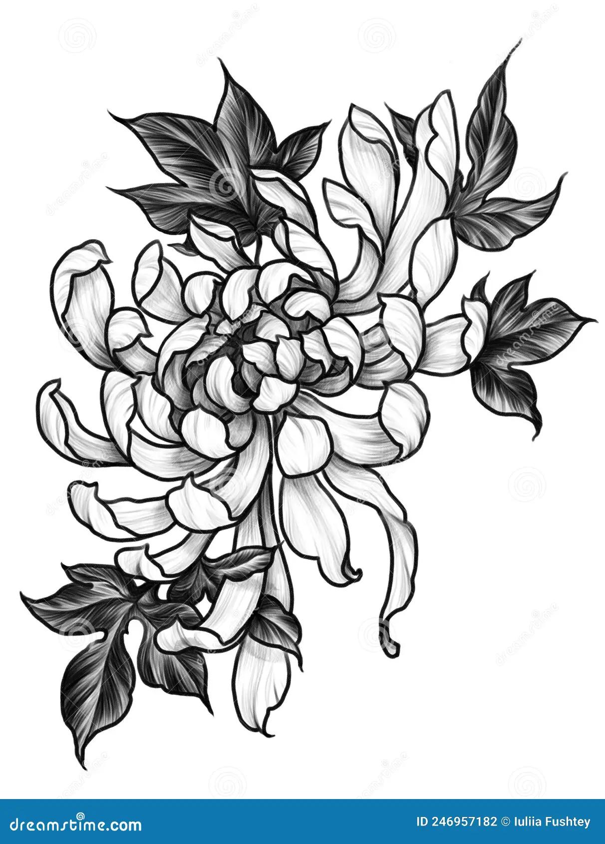 Qué significa el crisantemo en tatuaje - Qué significa el crisantemo en tatuaje crisantemo flor tattoo - Qué significa el crisantemo en tatuaje
