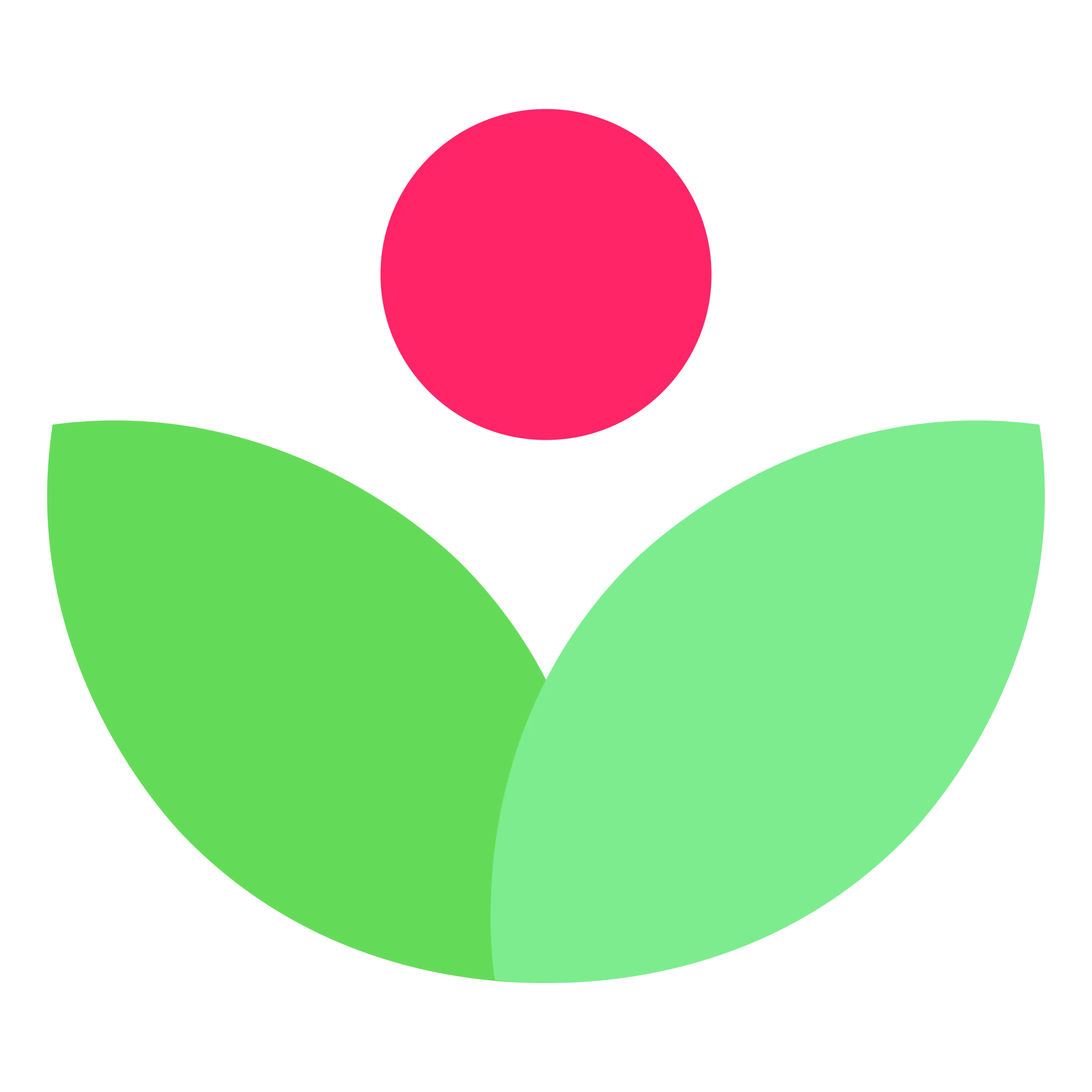 Flor en otoño: cuidados y plantas recomendadas - Qué significa la flor de otoño flor en otoño - Qué significa la flor de otoño