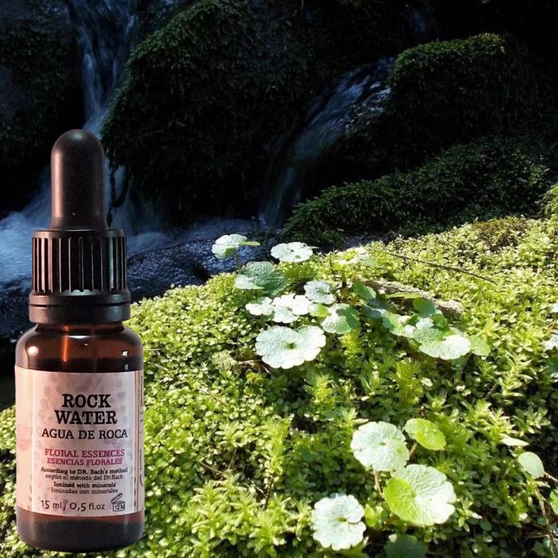 Rock Water: La Flor de Bach para la Rigidez y la Perfección - Qué significa la flor Rock Water rock water flores de bach - Qué significa la flor Rock Water