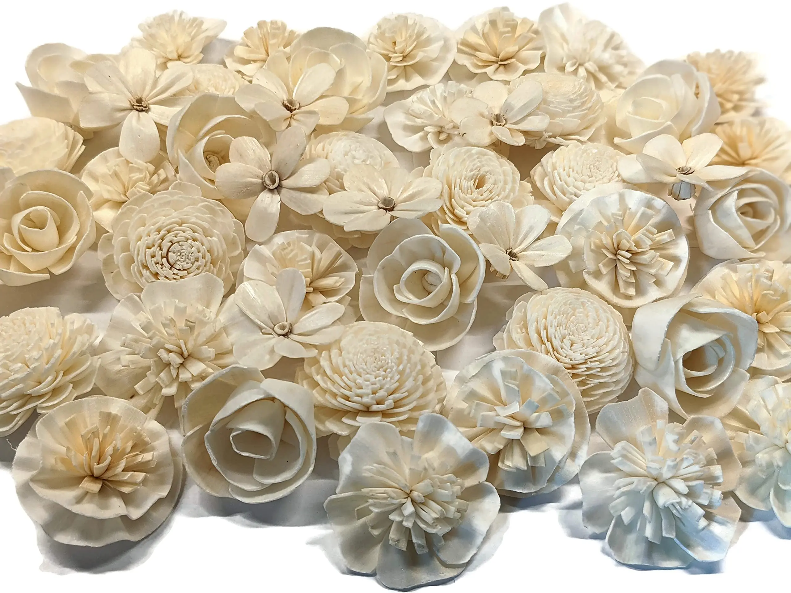 Las Flores Genéricas: Un Sueño Hecho Realidad - Qué significa la Floralis Genérica flores genericas - Qué significa la Floralis Genérica