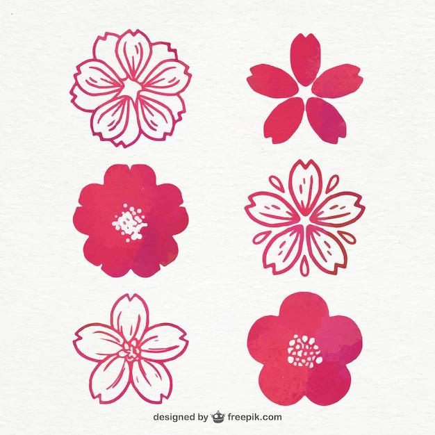flores japonesas vector - Qué significa Osmanthus en el lenguaje de las flores