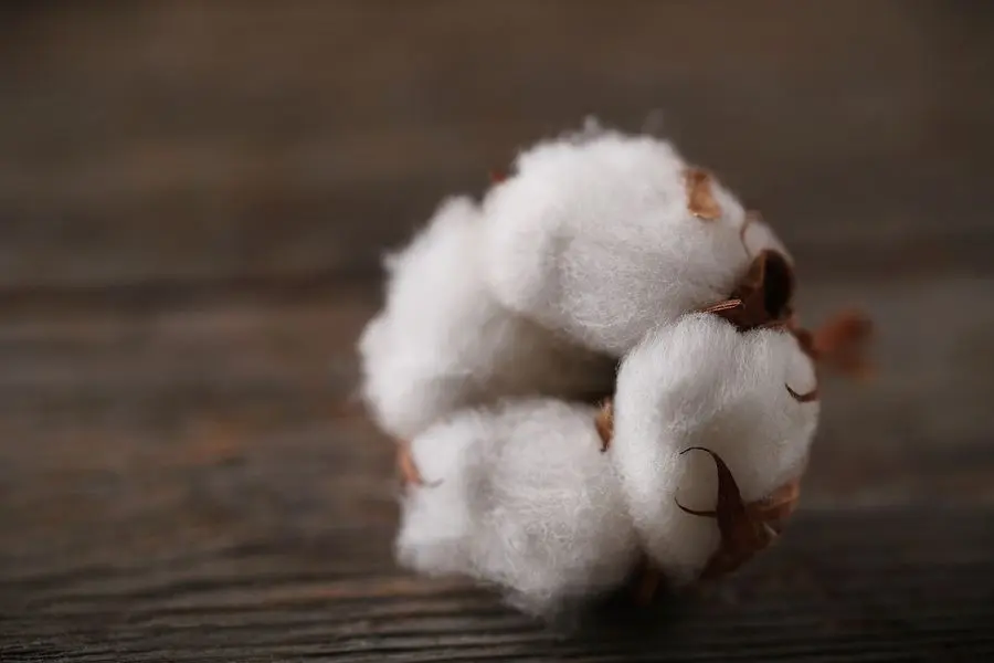flor de algodon - Qué significado tiene la flor de algodón