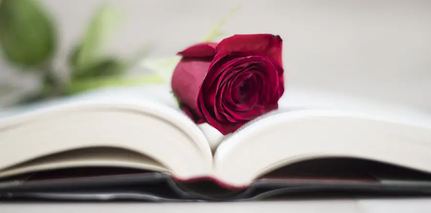 rosa de saron flor biblica - Qué significado tiene la Rosa en la Biblia