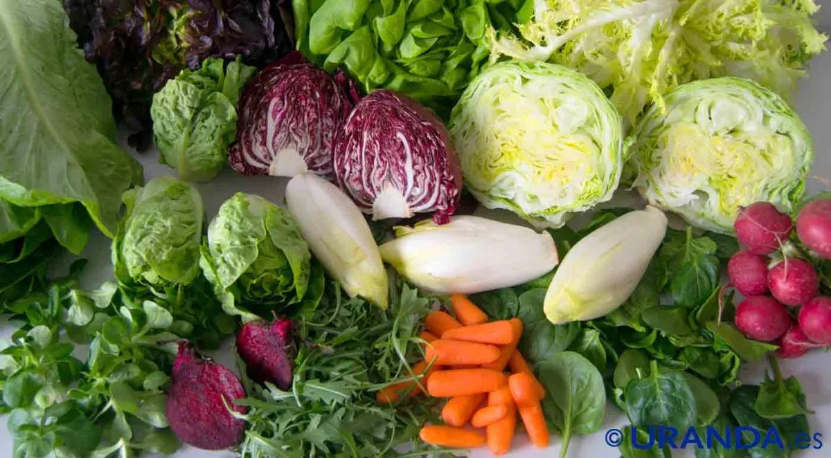 verduras de flor comestibles - Qué son las hortalizas de flor