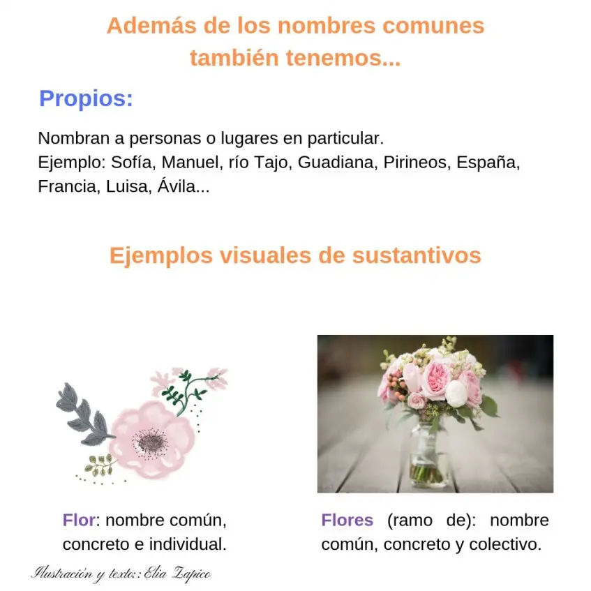Flores: ¿Sustantivo propio o común? - Qué son sustantivos común y propio flores es sustantivo propio o comun - Qué son sustantivos común y propio
